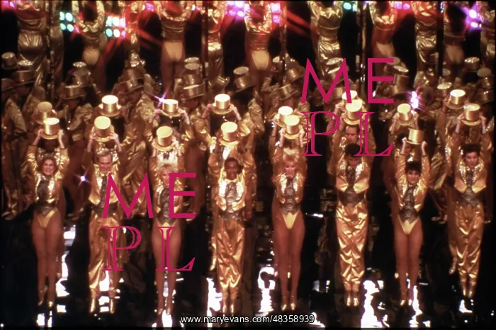: A Chorus Line : A Chorus Line