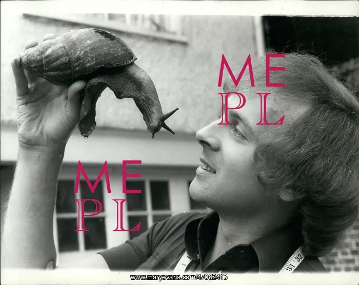 : Chris Hudson, snail expert with the largest : Chris Hudson, snail expert with the largest
