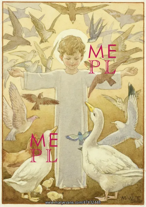 : The Christ child surrounded by animals : The Christ child surrounded by animals