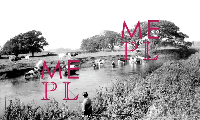  : Christchurch, the River Stour c1960