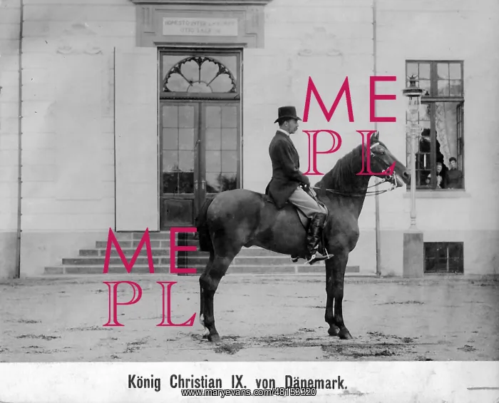 : Christian IX, King of Denmark : Christian IX, King of Denmark