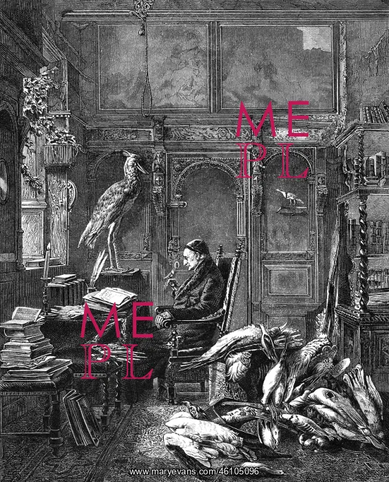 : Christian Ludwig Brehm : Christian Ludwig Brehm