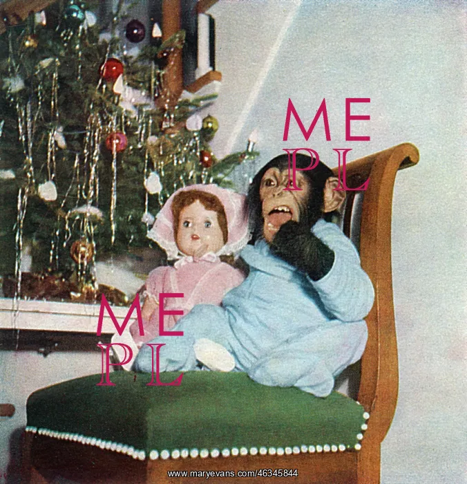 : Christine. Chimpanzee dressed in pyjamas making her way downstairs on Christmas : Christine. Chimpanzee dressed in pyjamas making her way downstairs on Christmas
