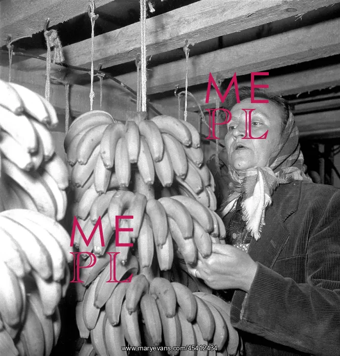 : Christmas 1959 - bananas : Christmas 1959 - bananas
