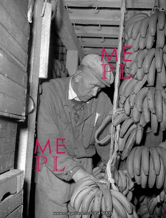 : Christmas 1959 - bananas : Christmas 1959 - bananas