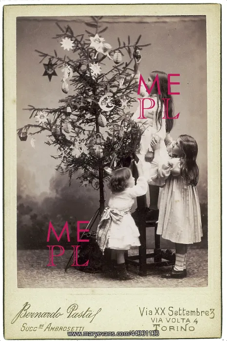 : Christmas. Portrait of children while dacorating the Christmas tree : Christmas. Portrait of children while dacorating the Christmas tree