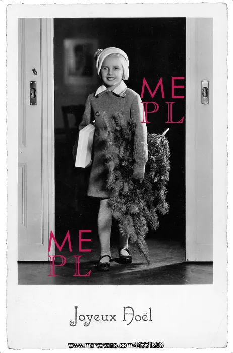 : Christmas. Portrait of a young girl carrying a fir-tree branch : Christmas. Portrait of a young girl carrying a fir-tree branch