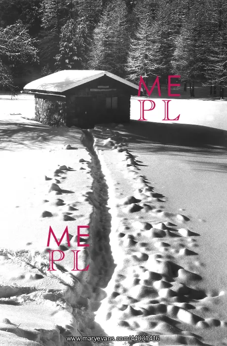 : Christmas. Road to an Alpine Hut in Morteratsch, in Valle dell'Engadina, Switzerland : Christmas. Road to an Alpine Hut in Morteratsch, in Valle dell'Engadina, Switzerland
