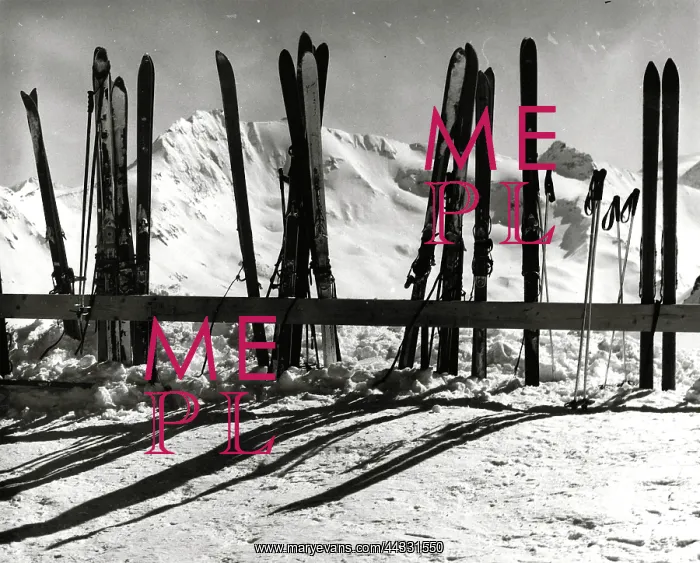 : Christmas. Skis leaning against a fence in the snow : Christmas. Skis leaning against a fence in the snow