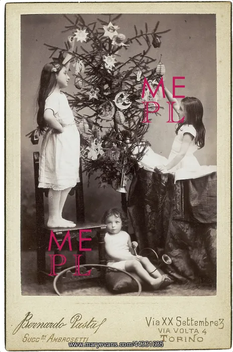 : Christmas. Portrait of children while dacorating the Christmas tree : Christmas. Portrait of children while dacorating the Christmas tree