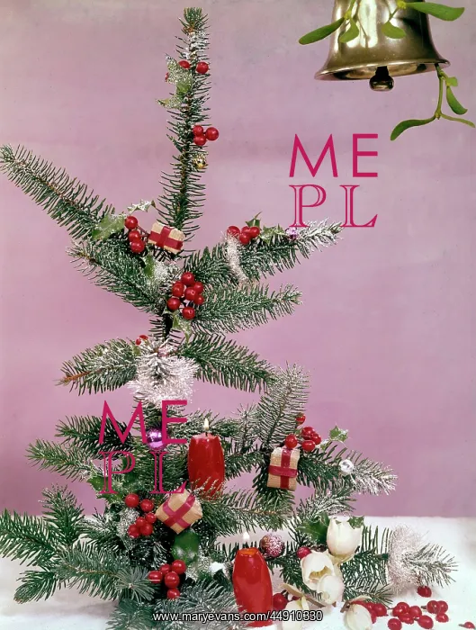 : Christmas arrangement of tree, holly and candles : Christmas arrangement of tree, holly and candles