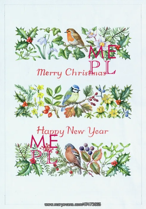 : Christmas Birds and Plants : Christmas Birds and Plants