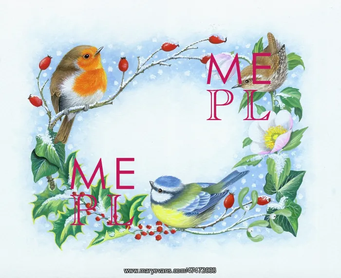  : Christmas Border with birds
