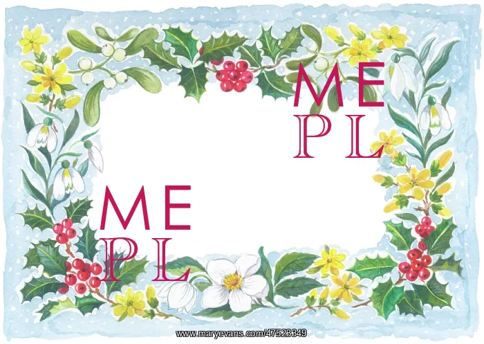 : Christmas Border of Mistletoe, Holly, Snowdrops : Christmas Border of Mistletoe, Holly, Snowdrops