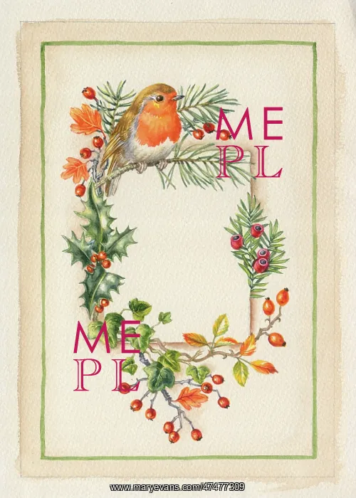  : Christmas Border ? with robin