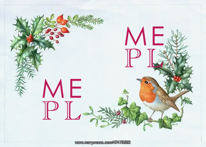 : Christmas Border with Robin, Holly, Hips etc : Christmas Border with Robin, Holly, Hips etc