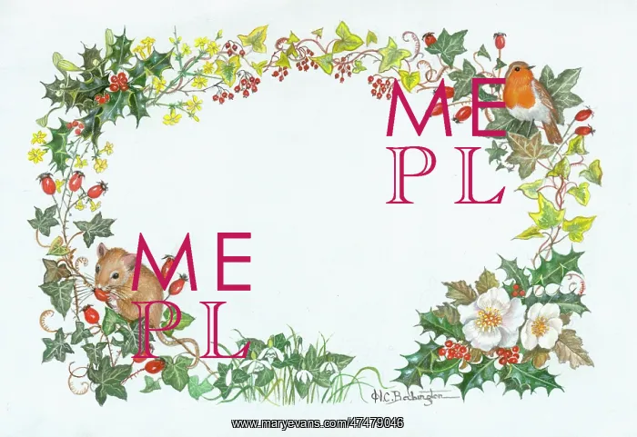  : Christmas border with robin and mouse