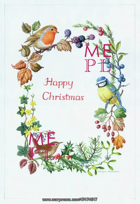 : Christmas Border with robin, wren, blue tit : Christmas Border with robin, wren, blue tit