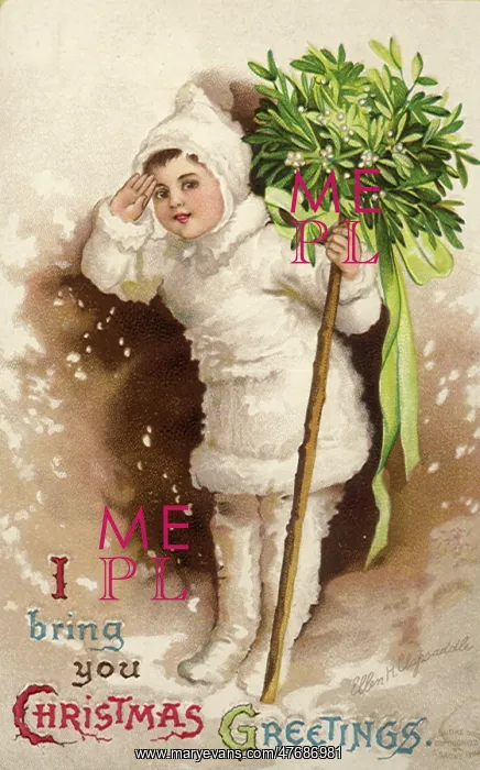 : Christmas Bouquet : Christmas Bouquet