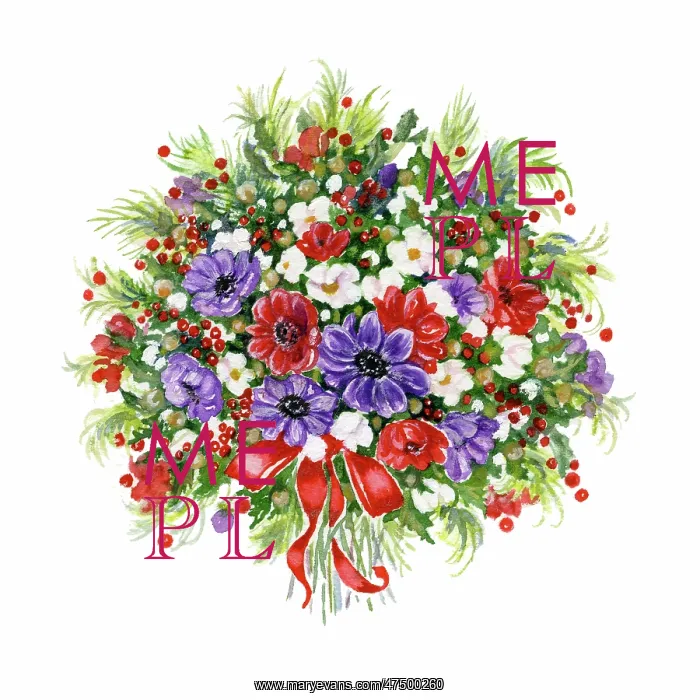 : Christmas bouquet of Anemones : Christmas bouquet of Anemones