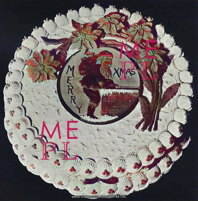 : Christmas Cake : Christmas Cake
