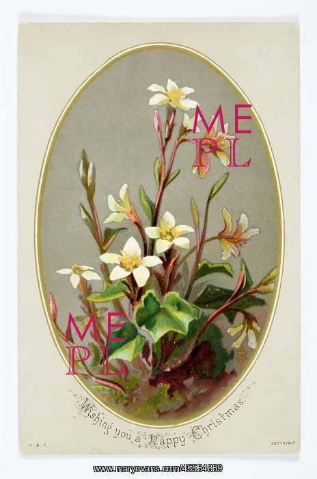 : Christmas card : Christmas card