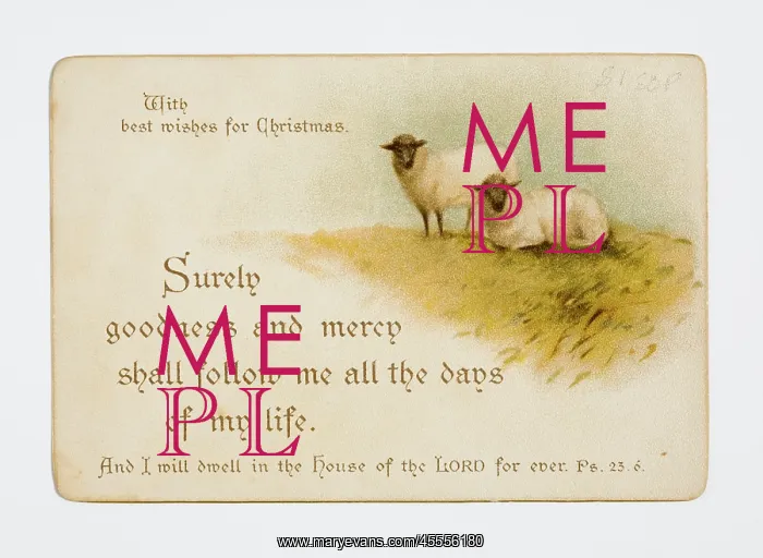 : Christmas card : Christmas card