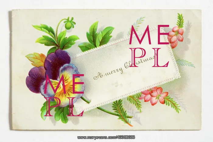 : Christmas card : Christmas card