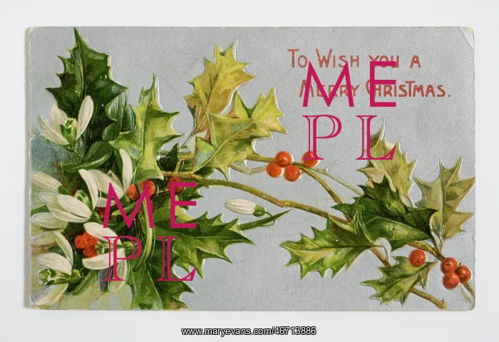 : Christmas card : Christmas card