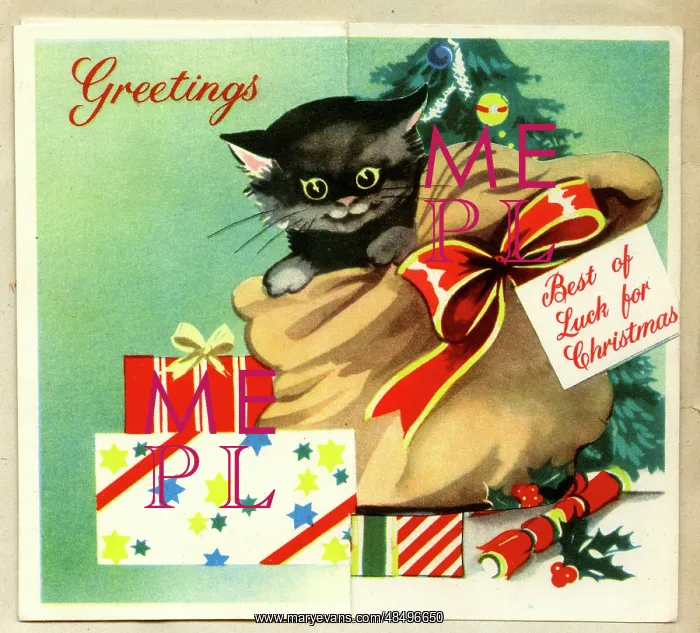 : Christmas card, Black kitten in a sack : Christmas card, Black kitten in a sack