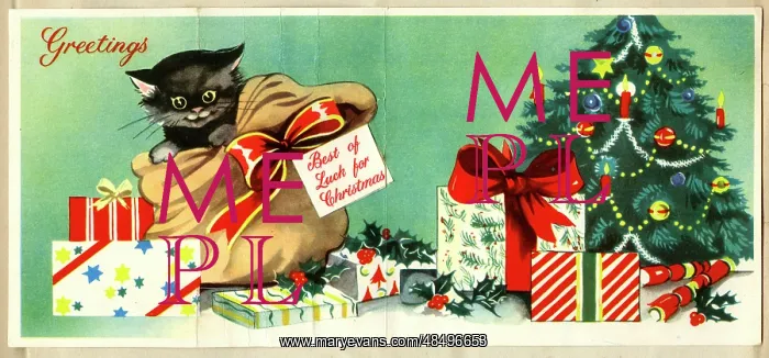 : Christmas card, Black kitten in a sack : Christmas card, Black kitten in a sack