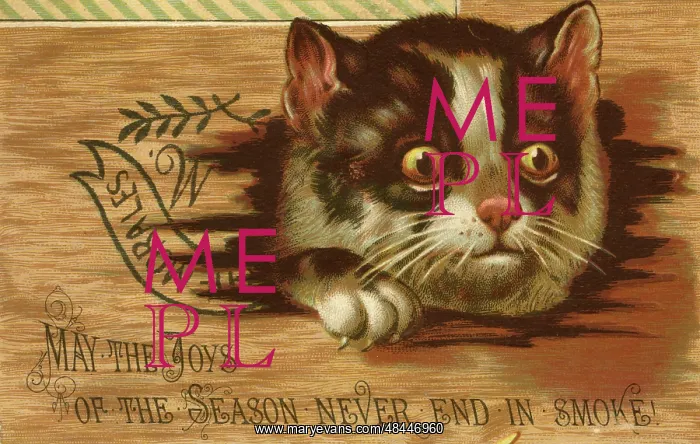  : Christmas card, Cat with surprised expression
