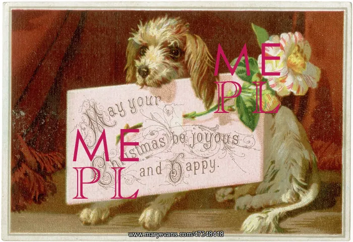 : Christmas Card Dog : Christmas Card Dog