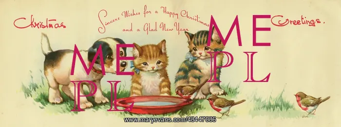 : Christmas card, dog, kittens and robins : Christmas card, dog, kittens and robins