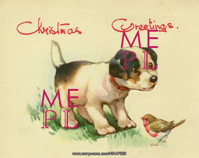  : Christmas card, dog and robin