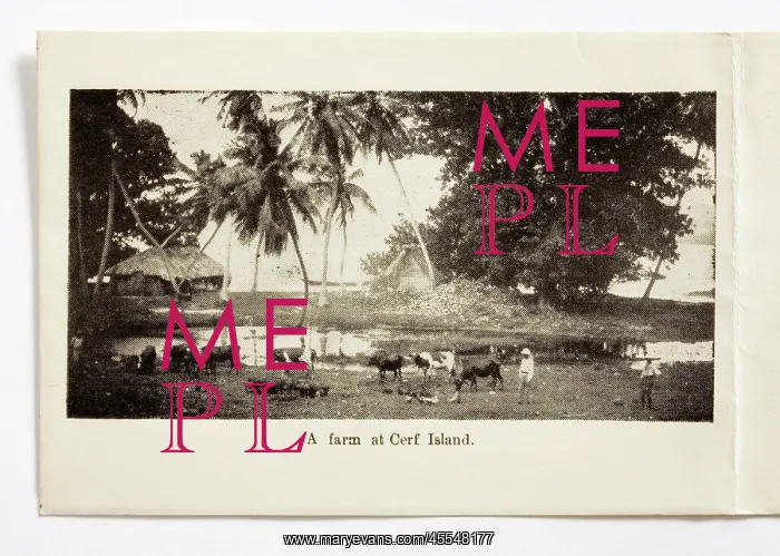 : Christmas card, inside : Christmas card, inside