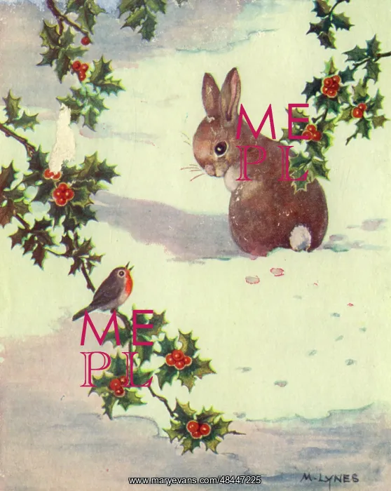  : Christmas card, Rabbit and robin
