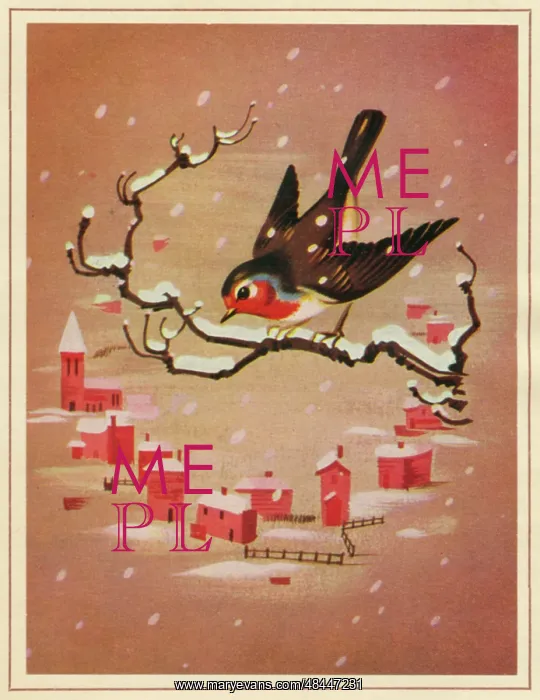  : Christmas card, Robin on a branch
