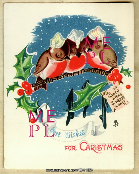  : Christmas card, three robins asleep on a branch