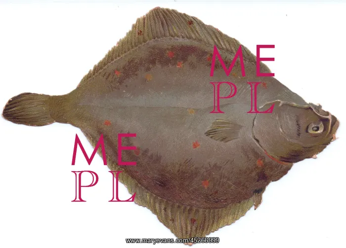 : Christmas card in the shape of flat brown fish : Christmas card in the shape of flat brown fish