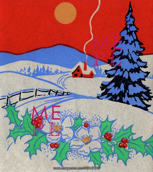  : Christmas card, Snow scene with cottage