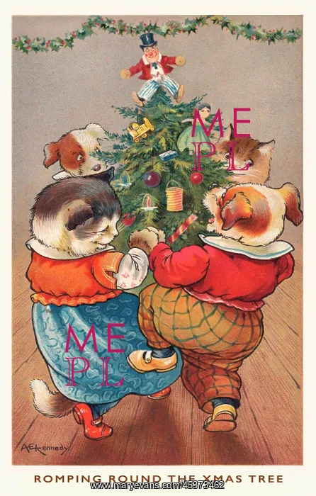 : Christmas cats & dogs : Christmas cats & dogs