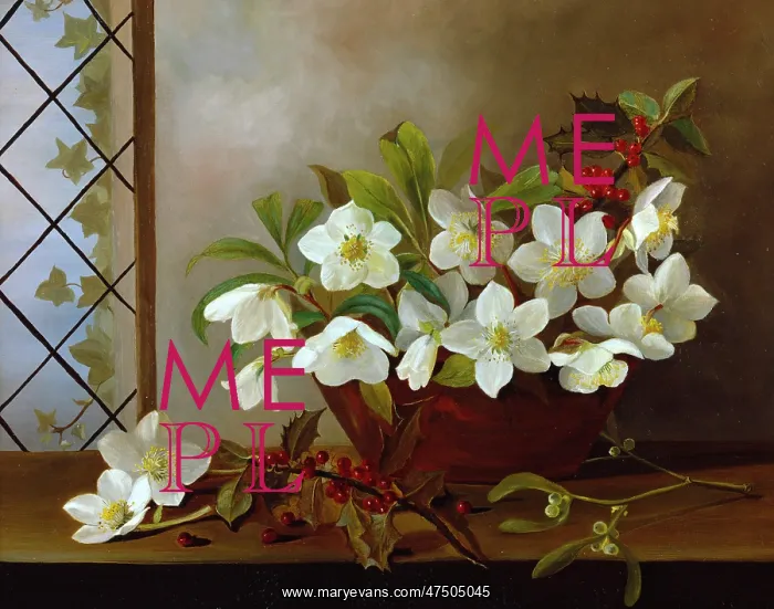 : Christmas ' Christmas roses in a vase : Christmas ' Christmas roses in a vase