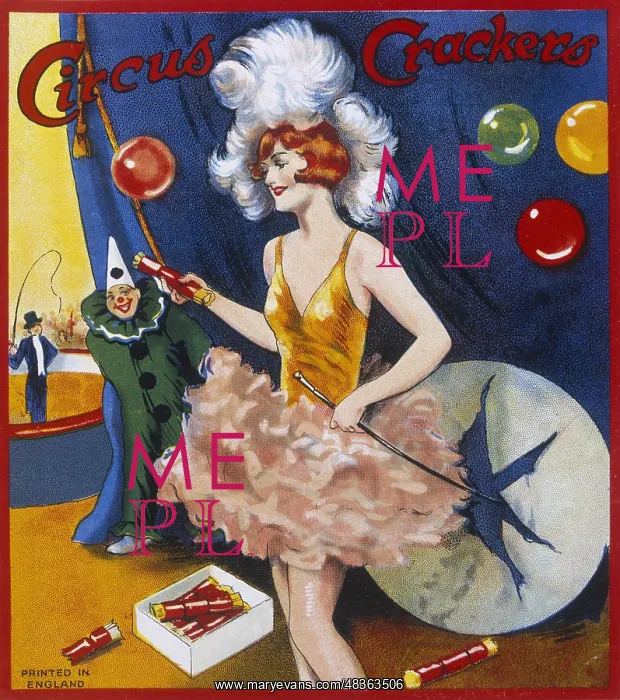 : Christmas cracker box label : Christmas cracker box label