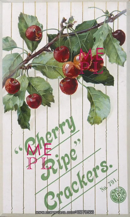 : Christmas Cracker box label : Christmas Cracker box label