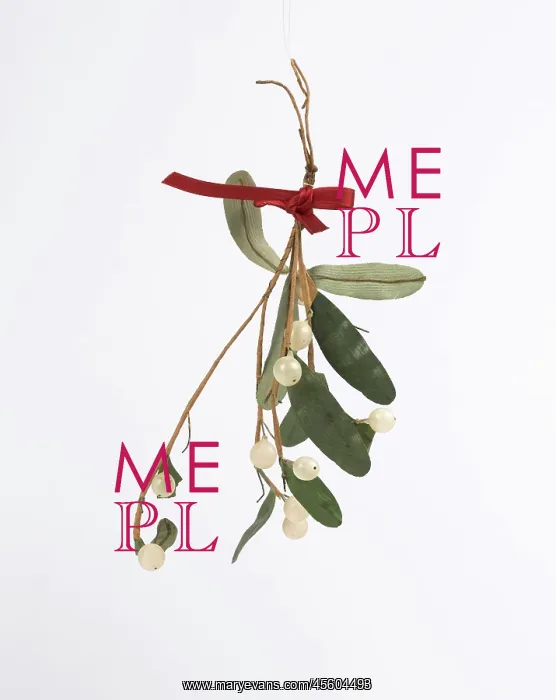 : Christmas decoration : Christmas decoration