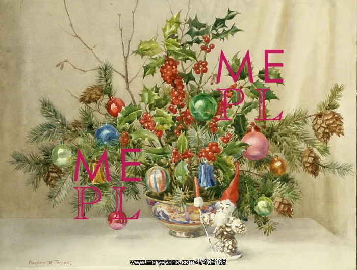 : Christmas decoration guarded by a gnome : Christmas decoration guarded by a gnome