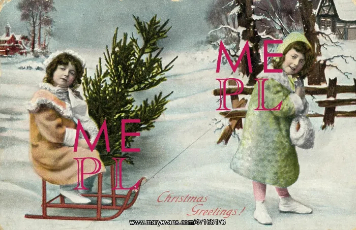 : Christmas decorations: children fetch tree on a sledge : Christmas decorations: children fetch tree on a sledge