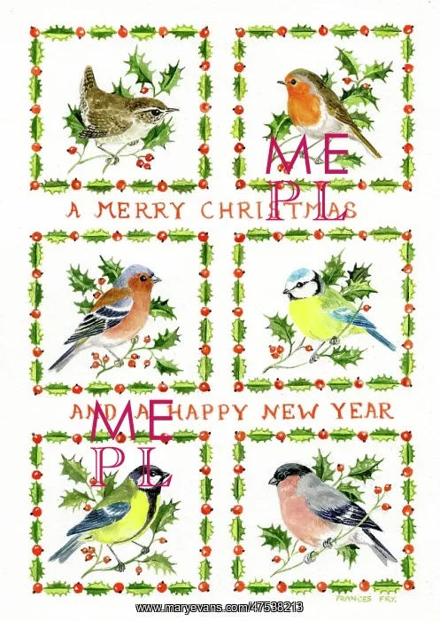 : Christmas design with six birds : Christmas design with six birds