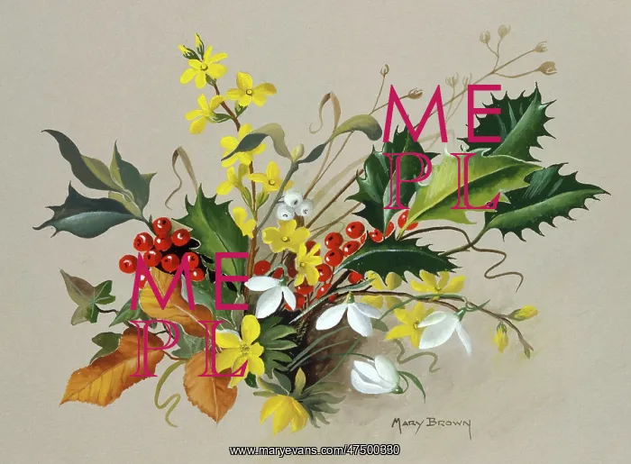 : Christmas Flowers ' holly, snowdrops etc : Christmas Flowers ' holly, snowdrops etc
